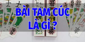 Bài Tam Cúc  Là Gì?